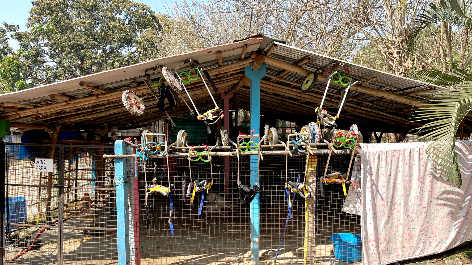 8 refurbished dog wheelchairs