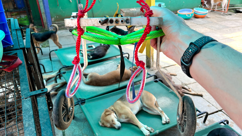 Finished rear leg hangers